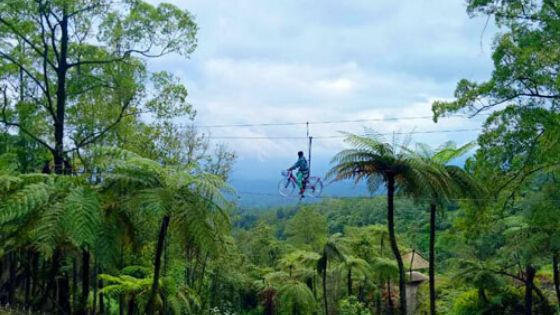 Sepeda Gantung di Wana Giri Agung Bali