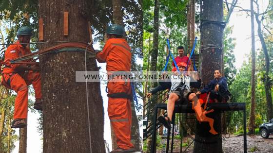 Flying Fox Tower Pohon