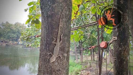 Instalasi Flyingfox 115 Meter di Wisata Telaga Pelemwatu Gresik 