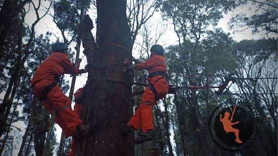 Jasa Kontraktor Wahana Outbound Terbaik Indonesia