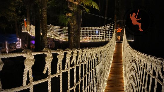 Jembatan papan Wahana Permainan Outbound