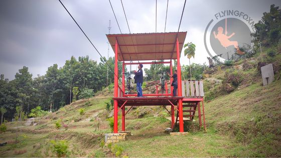 Tower Tiang Flyingfox