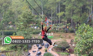 Apa Itu Flying Fox Ini Pengertian dan Manfaatnya untuk Wisata Petualangan