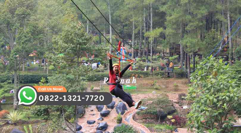 Apa Itu Flying Fox Ini Pengertian dan Manfaatnya untuk Wisata Petualangan