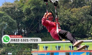 Perbandingan Biaya Pasang Flying Fox Vs Manfaat Jangka Panjang